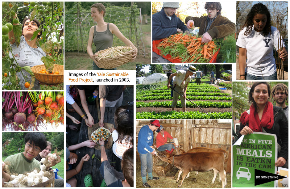 Images from the Yale Sustainable Food Project