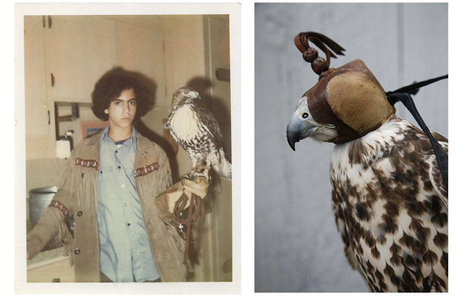 Image Left: young Jeff Diaz with Vicki, his first Red-tailed hawk. Image Right: Willow, a female Saker falcon from the Ronin Air squadron. Image by Claire Scoville.