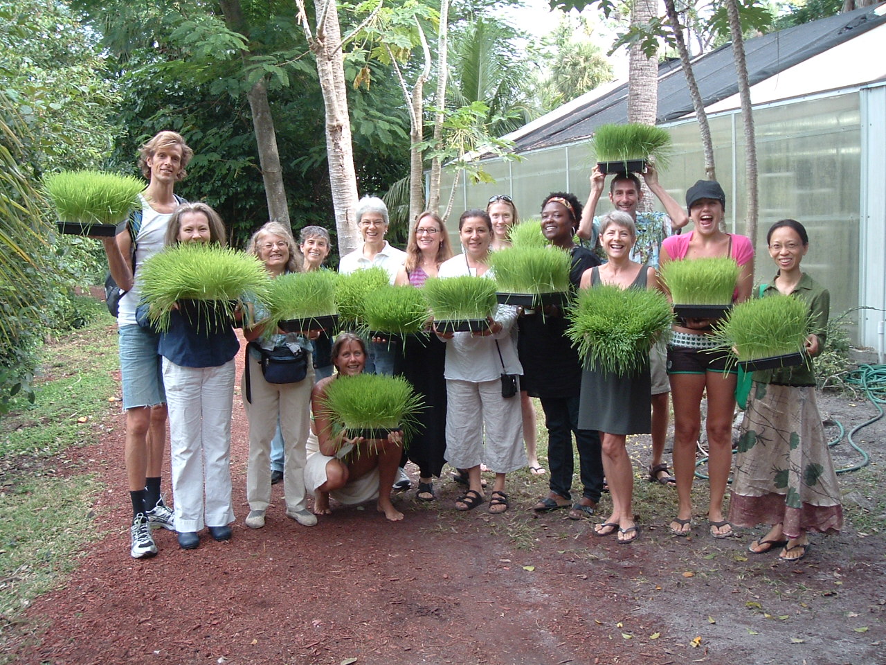 Students of health and nutrition at the Hippocrates Institute in West Palm Beach, FL flaunt their trays of homegrown wheatgrass.