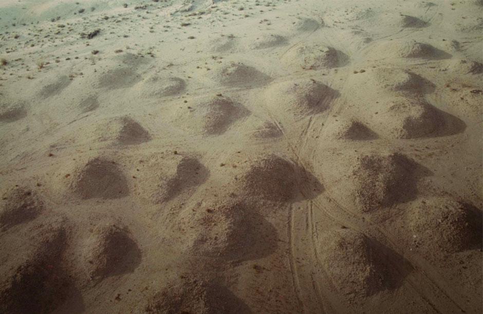 Aerial view of the burial mounds of Dilmun (Eden) in Bahrain