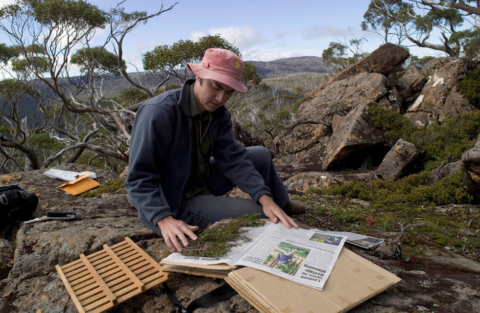 A Kew partner scientist retrieving samples of native flora in Africa.