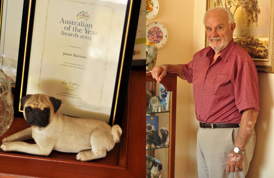 Harrison in his living room with awards and collectibles. He has donated blood 995 times from his right arm and only 8 times from his left arm.