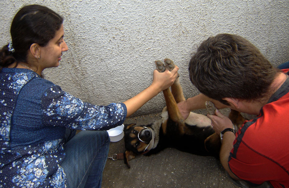 Ghandy and a ResQ volunteer perform a procedure in the field