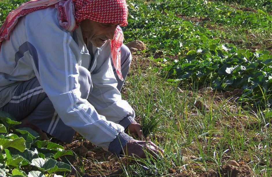 Farmer in the Beqaa Valley in east Lebanon - the center of Lebanon's most productive farmlands. photo by Al Akhbar