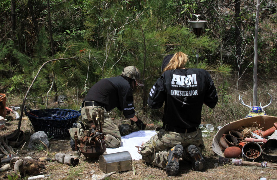 ARM volunteers documenting remnants of animal sacrifice on an illegal farm in Miami, Florida that sold animals for ceremonial slaughter.