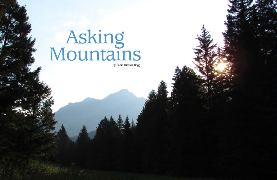 “The Sphinx”, an iconic peak in Montana’s Rocky Mountains, stands sentinel over a darkening meadow.