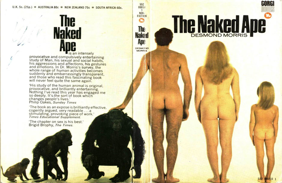 The 1967 cover of zoologist and ethologist Desmond Morris’s sensational book "The Naked Ape", which was followed shortly by The Human Zoo (1969) in which he exposes the illusionary line between us and animals, and sheds light on the discontents found in human society by drawing parallels to animals in captivity.