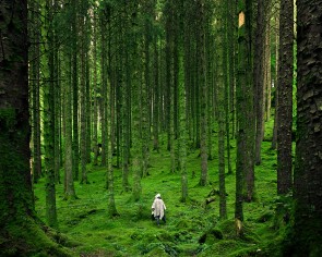 Forest Bath